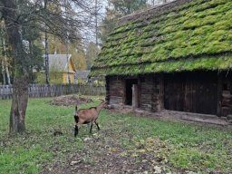 5607984791279727077288571617735220536923652n